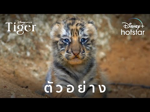 Trailer thumbnail