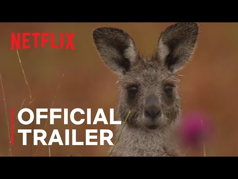 Trailer thumbnail