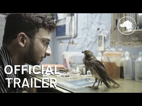 Trailer thumbnail
