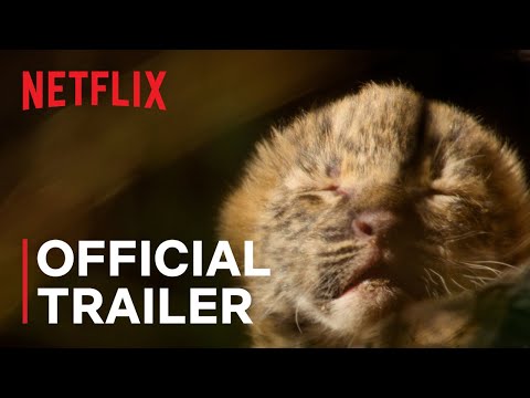 Trailer thumbnail