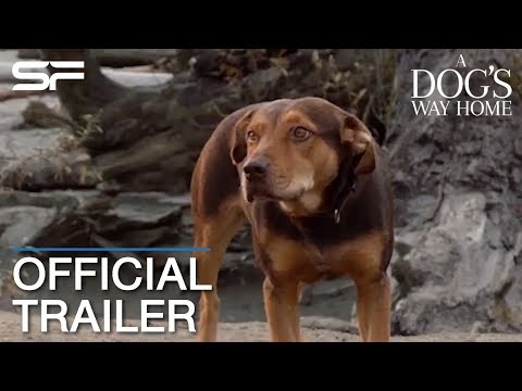 Trailer thumbnail