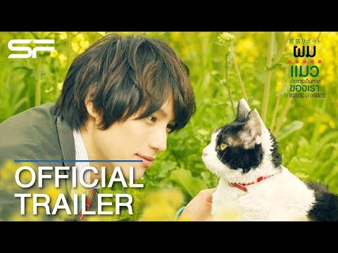 Trailer thumbnail