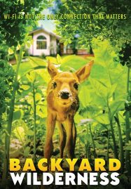 ดูหนังออนไลน์ฟรี Backyard Wilderness (2018)
